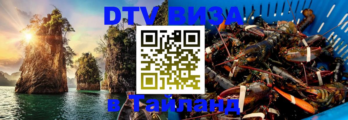 Сколько стоит DTV виза — актуальные цены, оформление даже без документов - 19.11.2025 